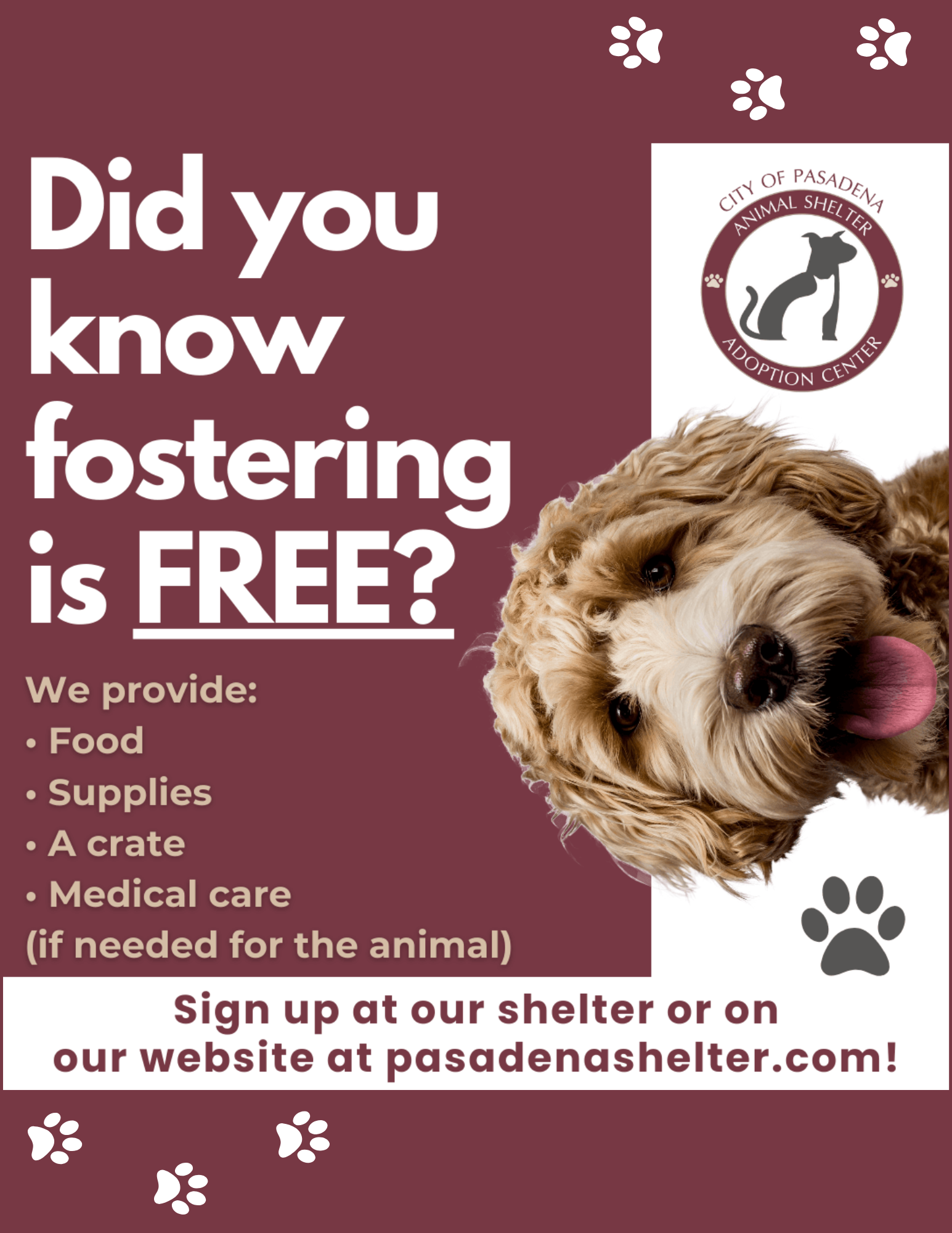 EventInfo Flyers (2)