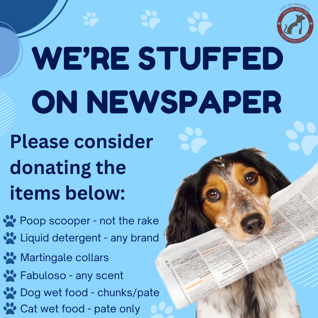 Social Media Graphic Designs