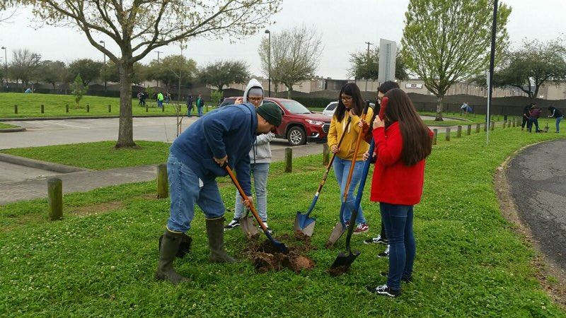 Volunteers planting trees