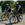 Two officers ride bikes