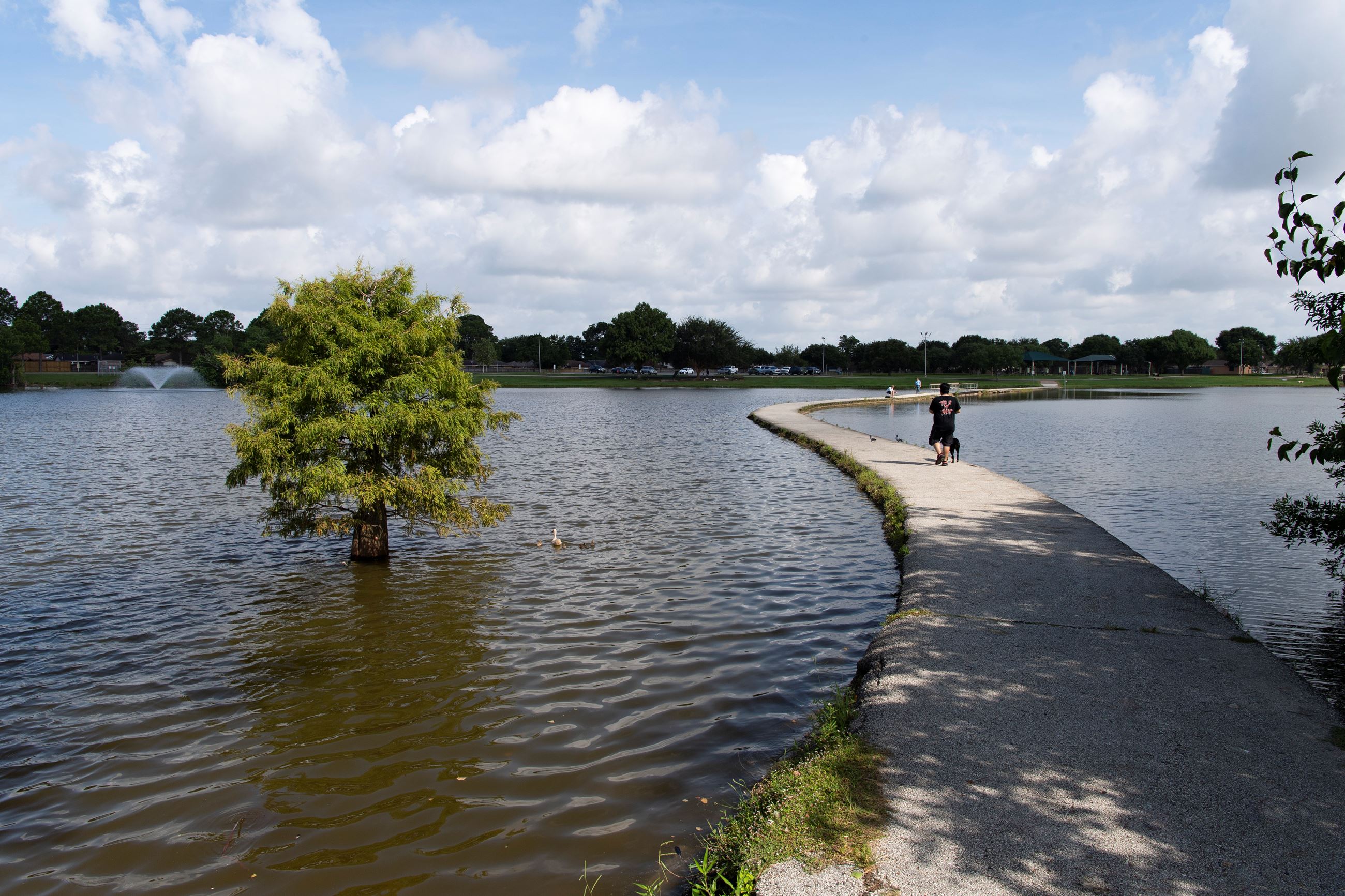 Burke Crenshaw Park Track