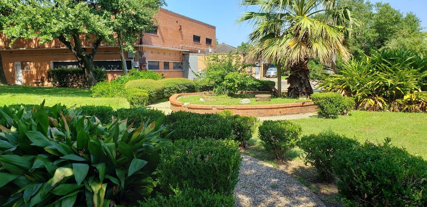 Friendship Gardens Palm Tree