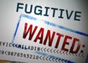 Wanted Fugitive