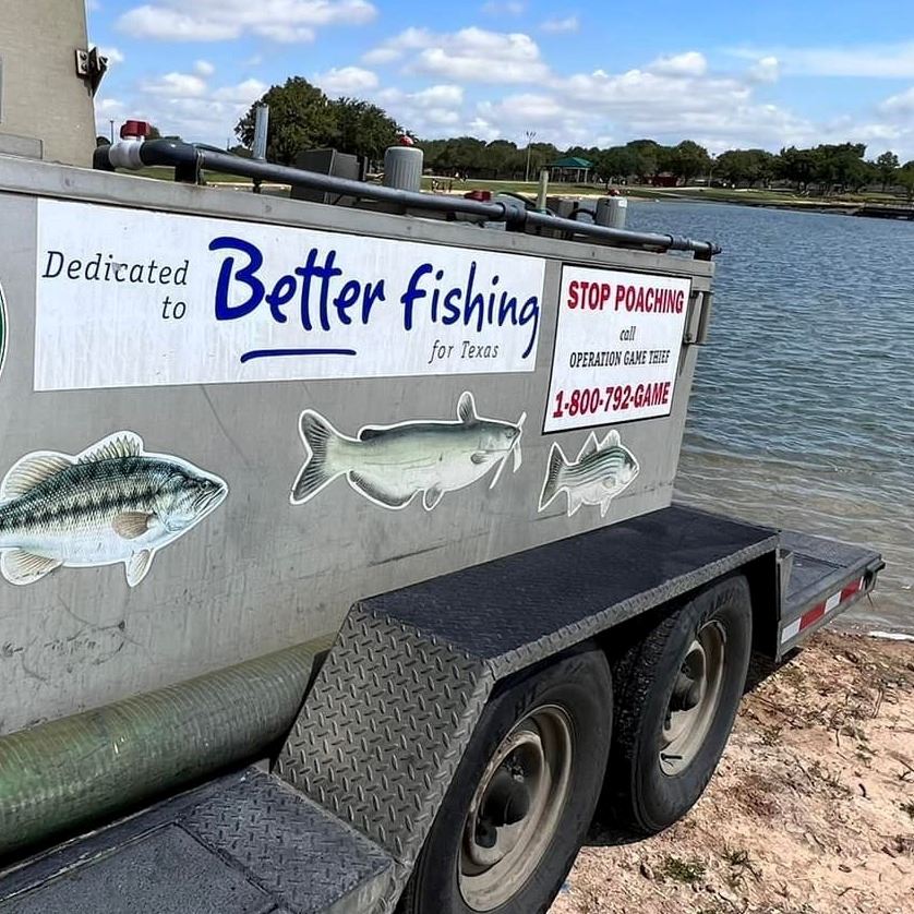fish distribution truck