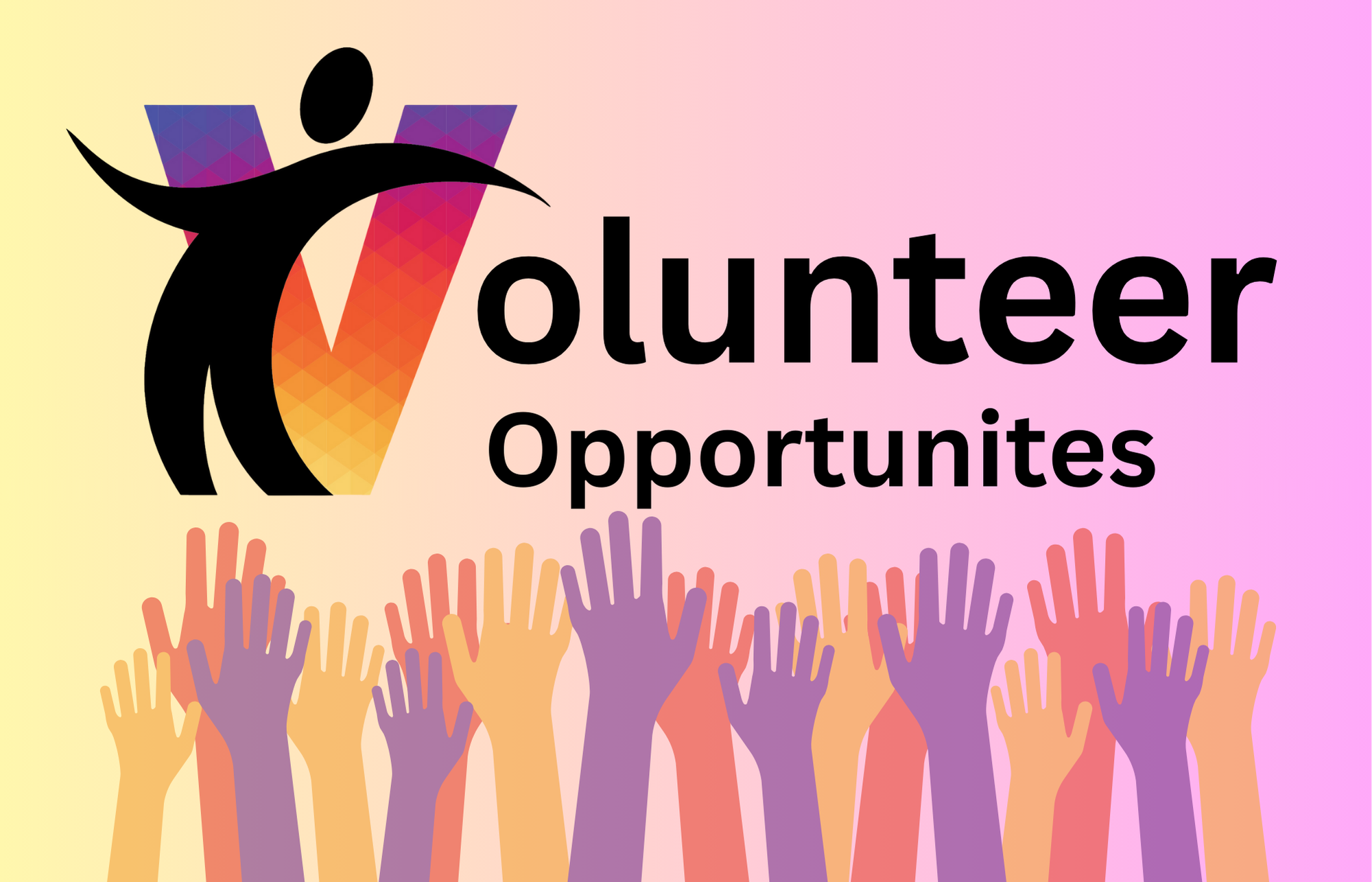 Volunteer Opportunites