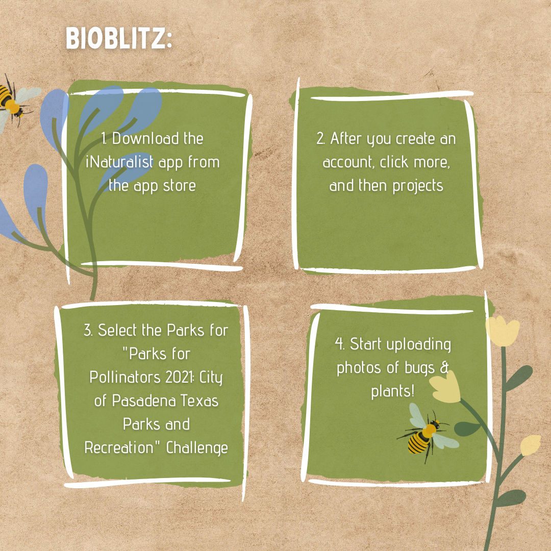 iNaturalist App Instructions